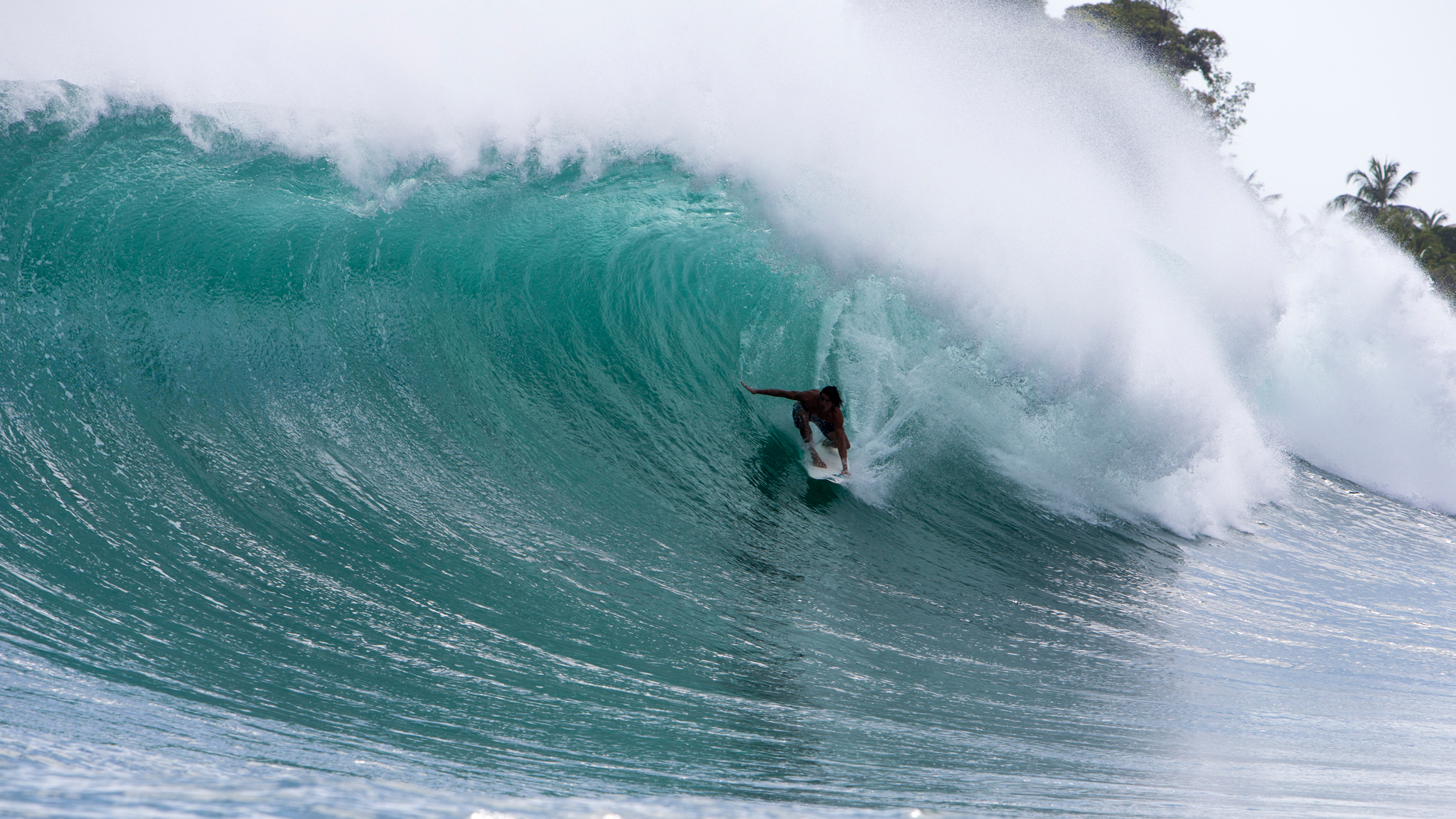 bocas del toro wave