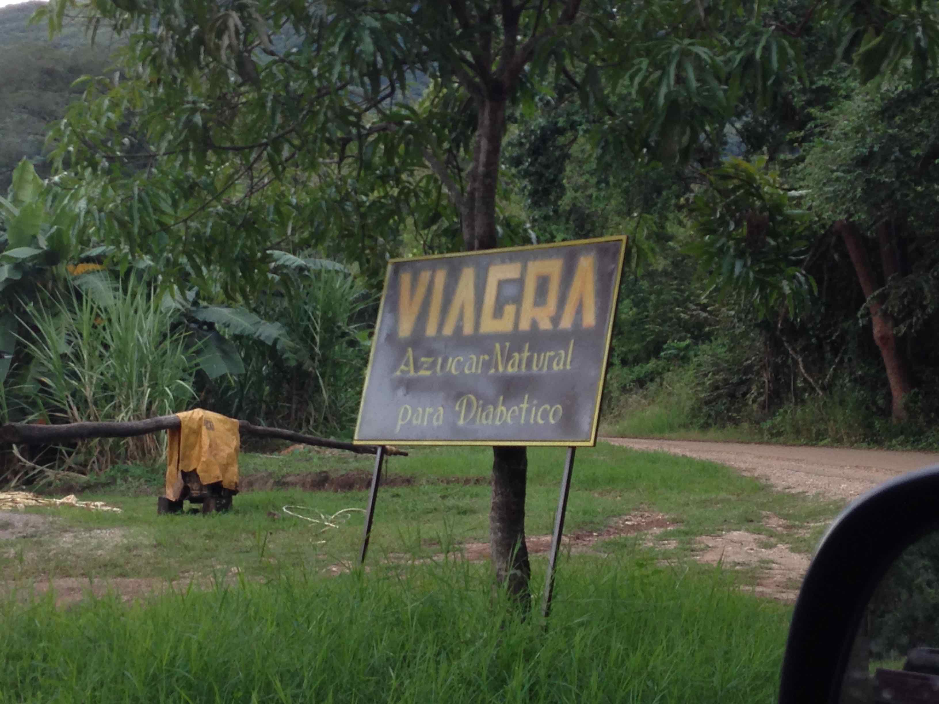 la Huasteca