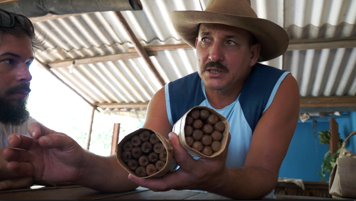 vinales cuba tabaco