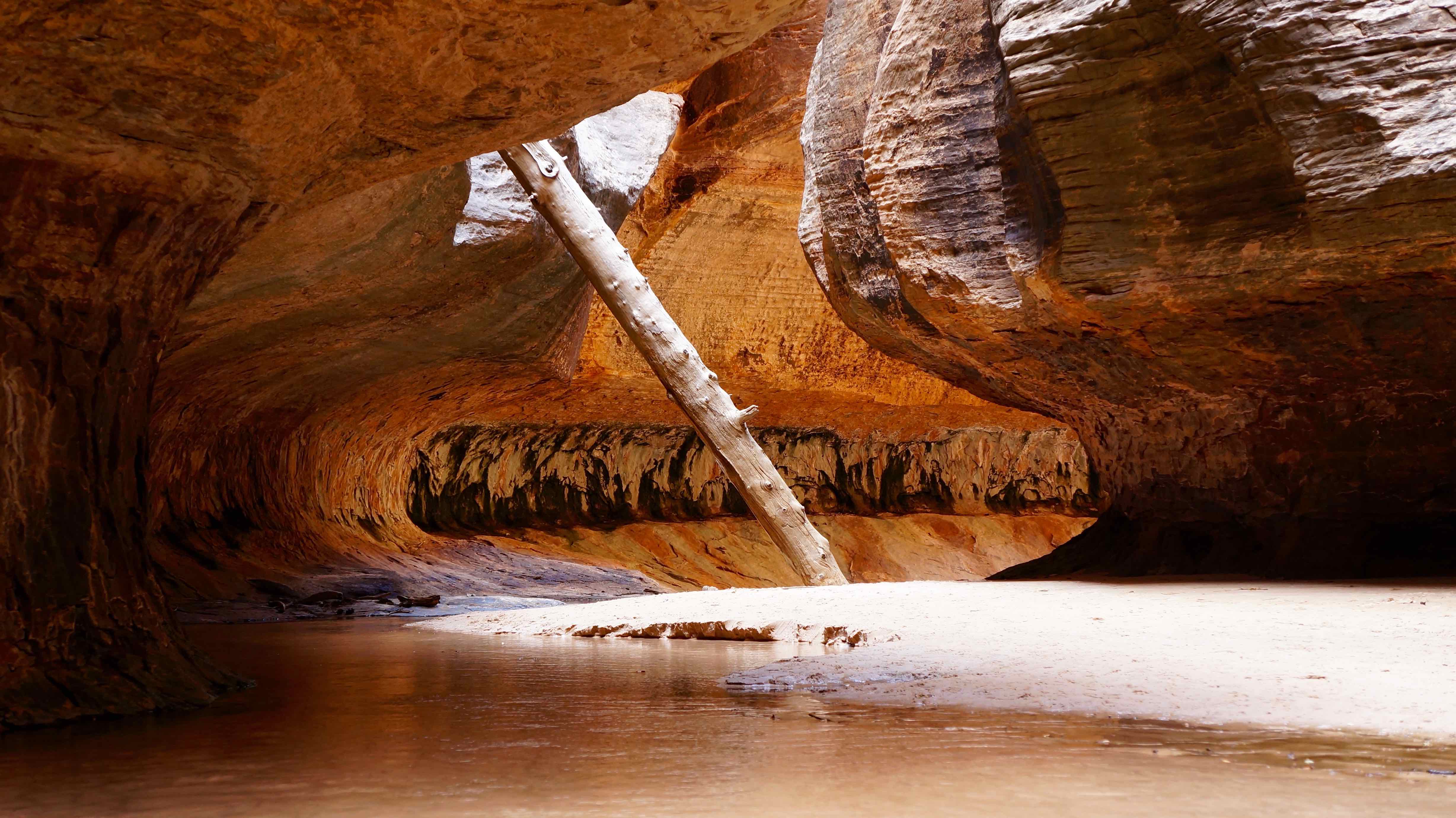 el metro Parque Nacional Zion