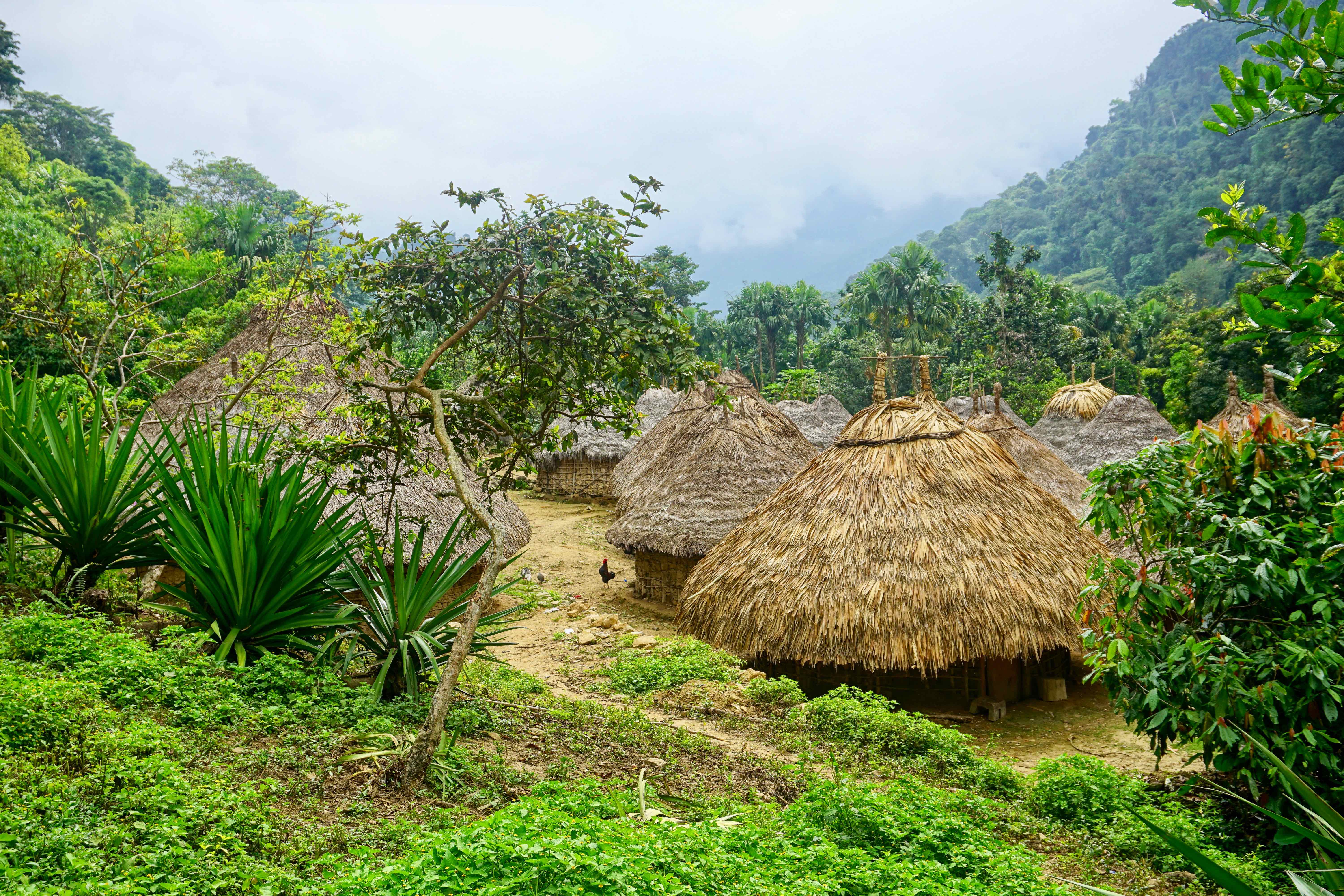 lost city trek