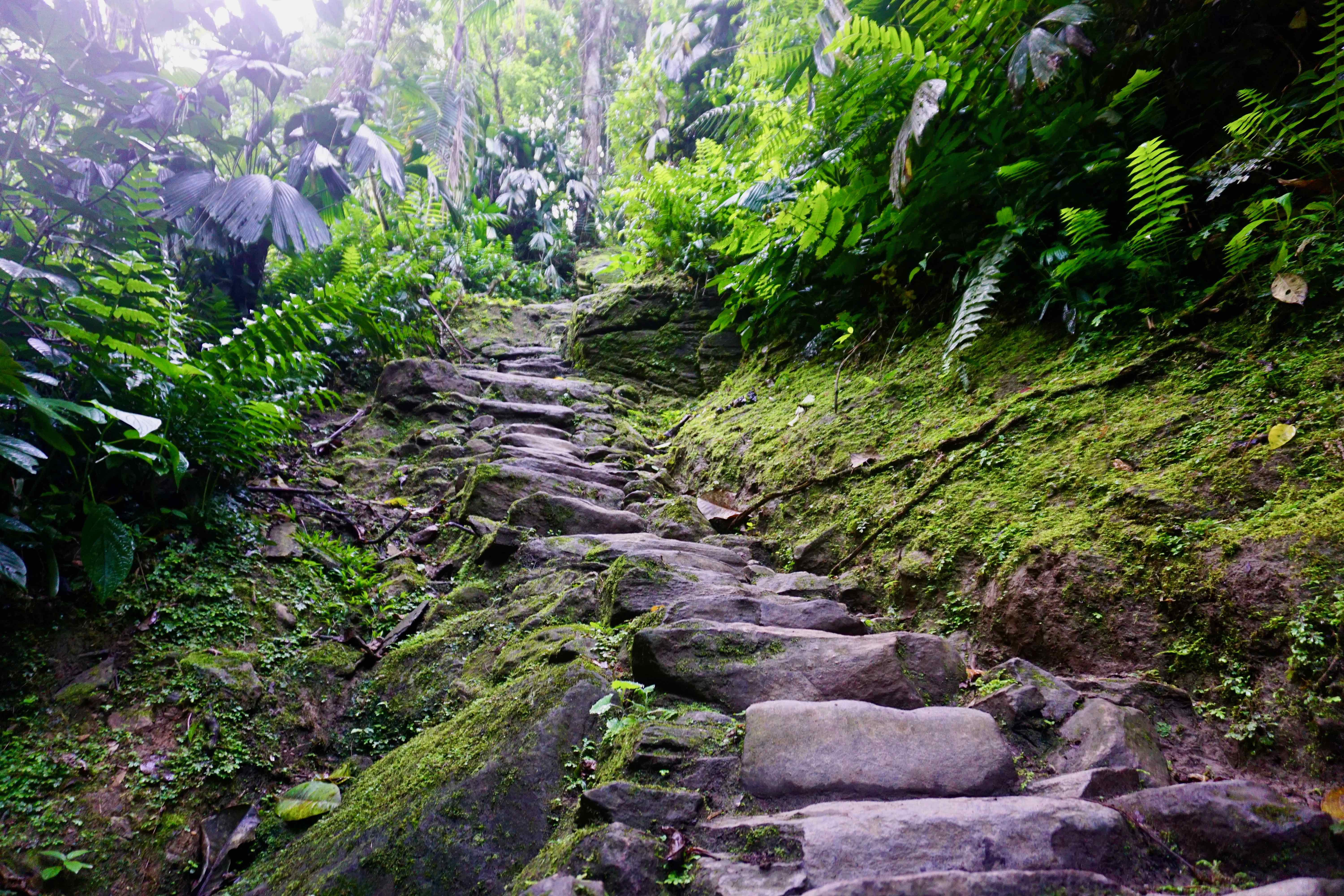 perdeu caminhada cidade