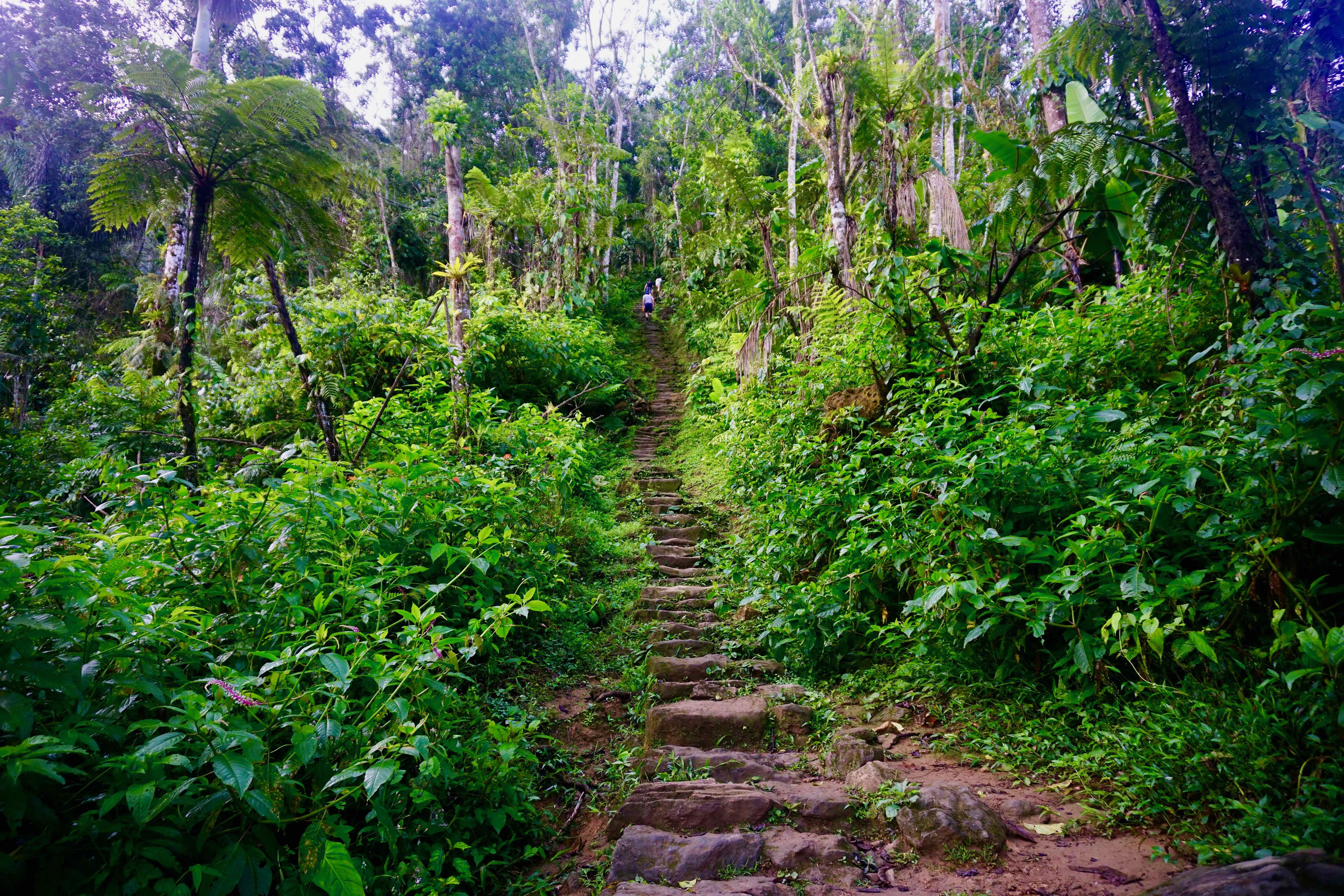 perdeu caminhada cidade