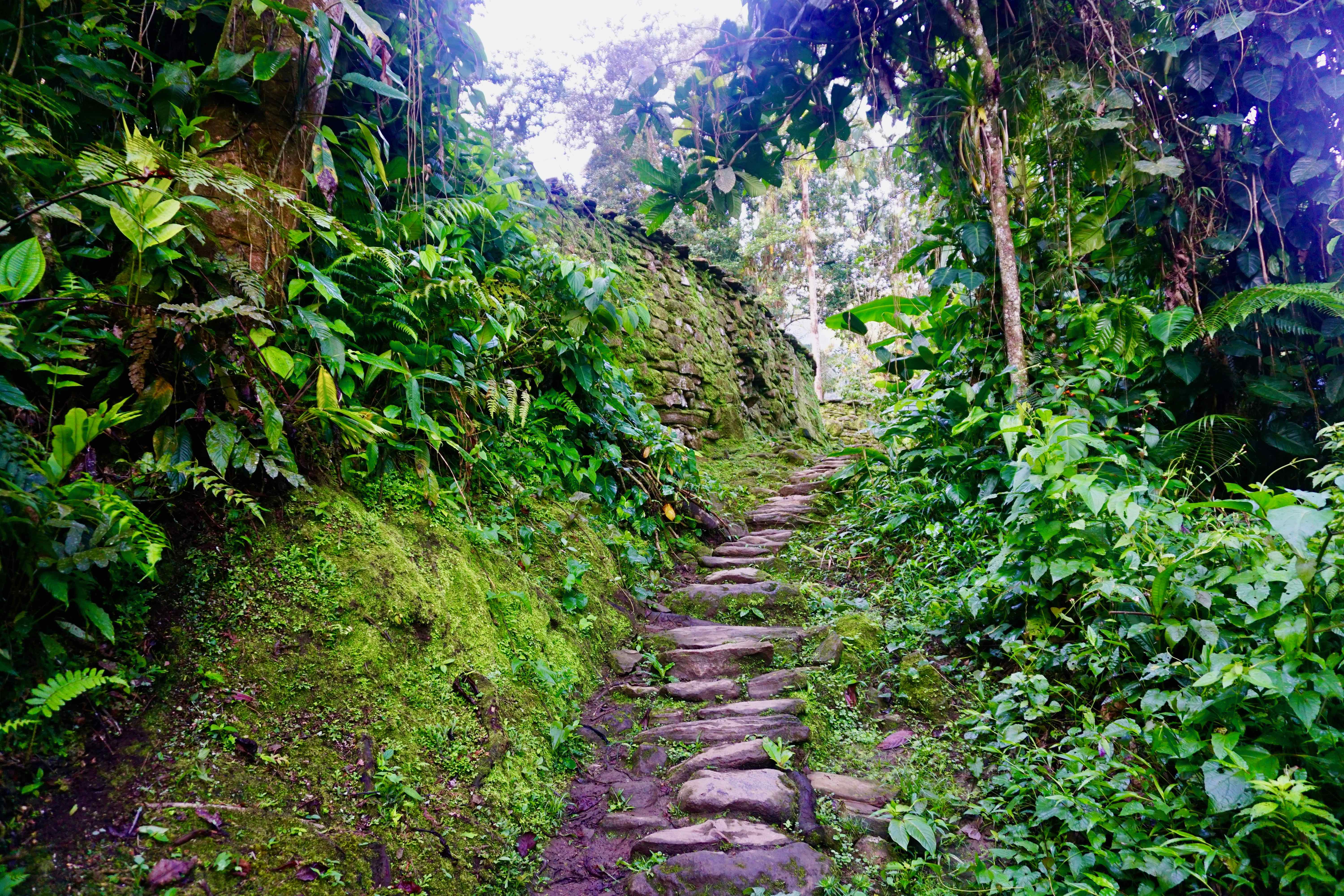 perdeu caminhada cidade