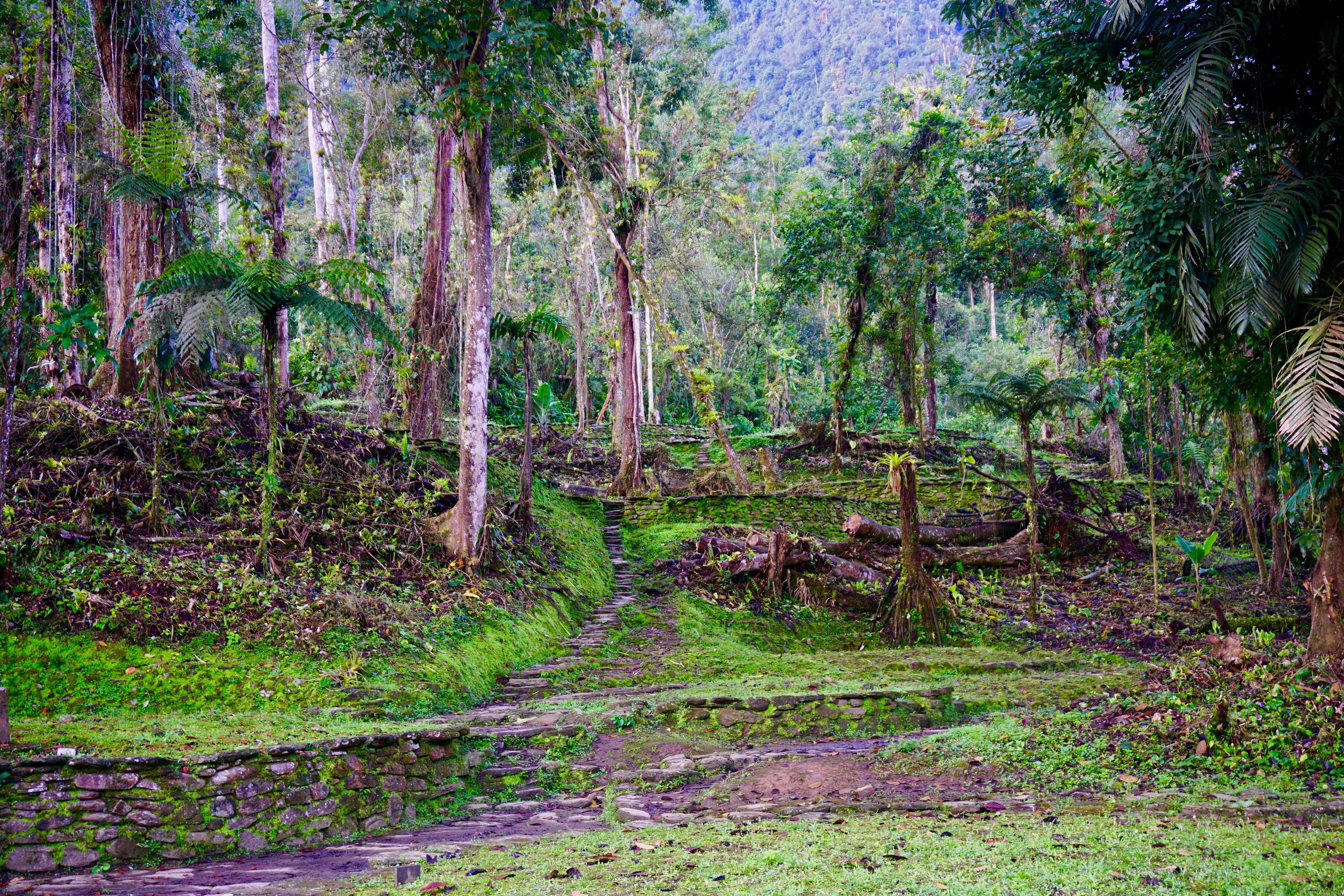 lost city trek