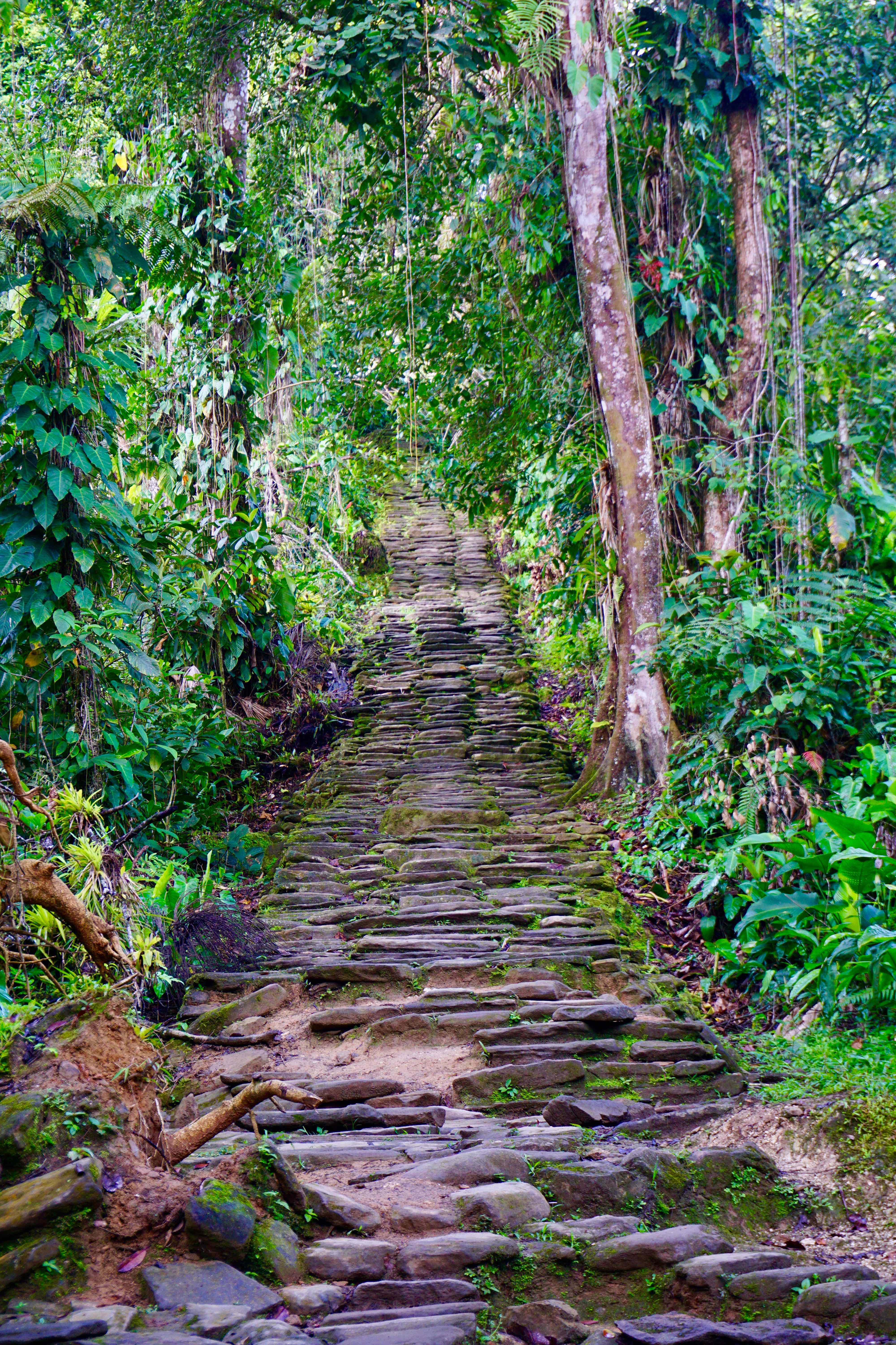 perdido caminata ciudad