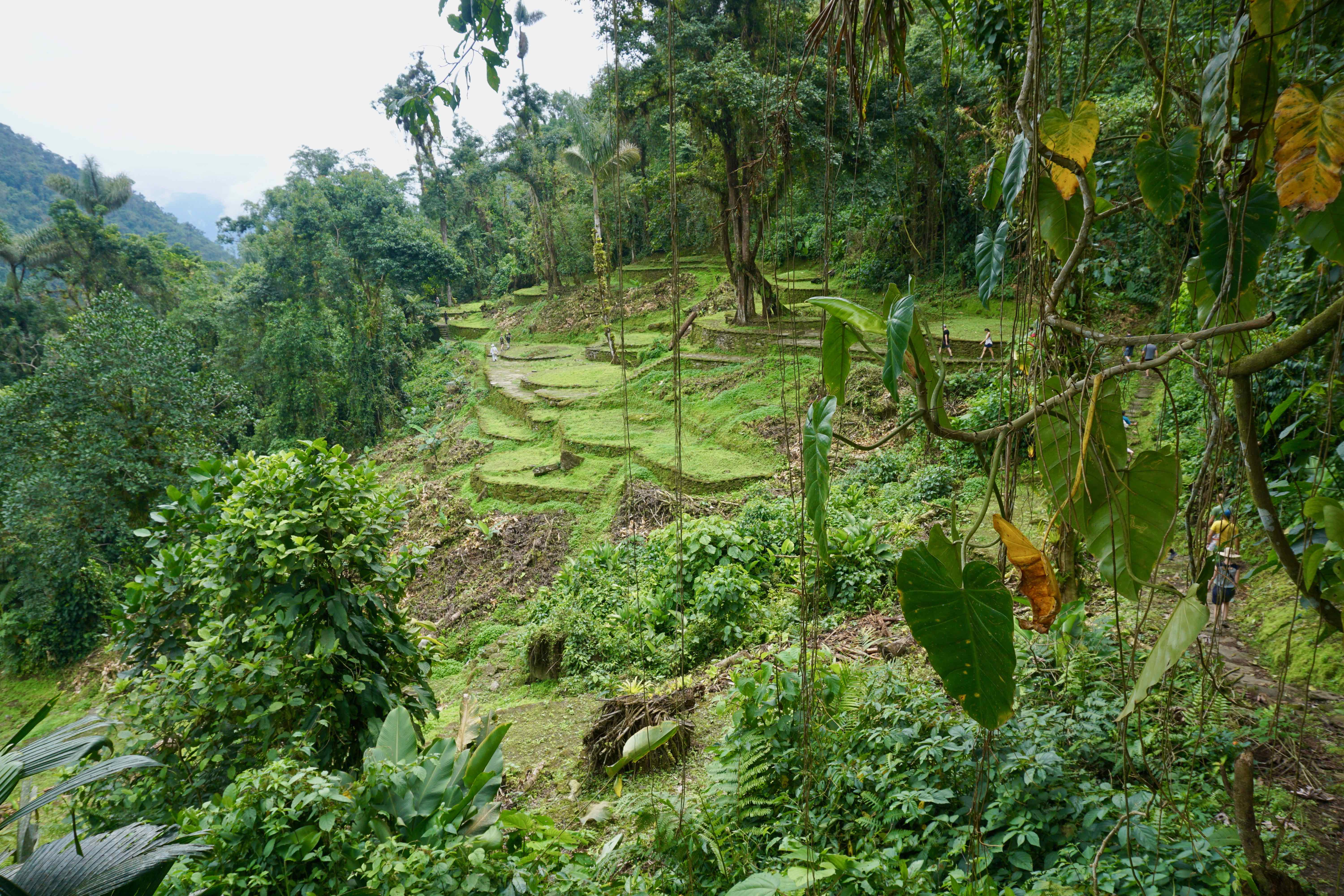 lost city trek