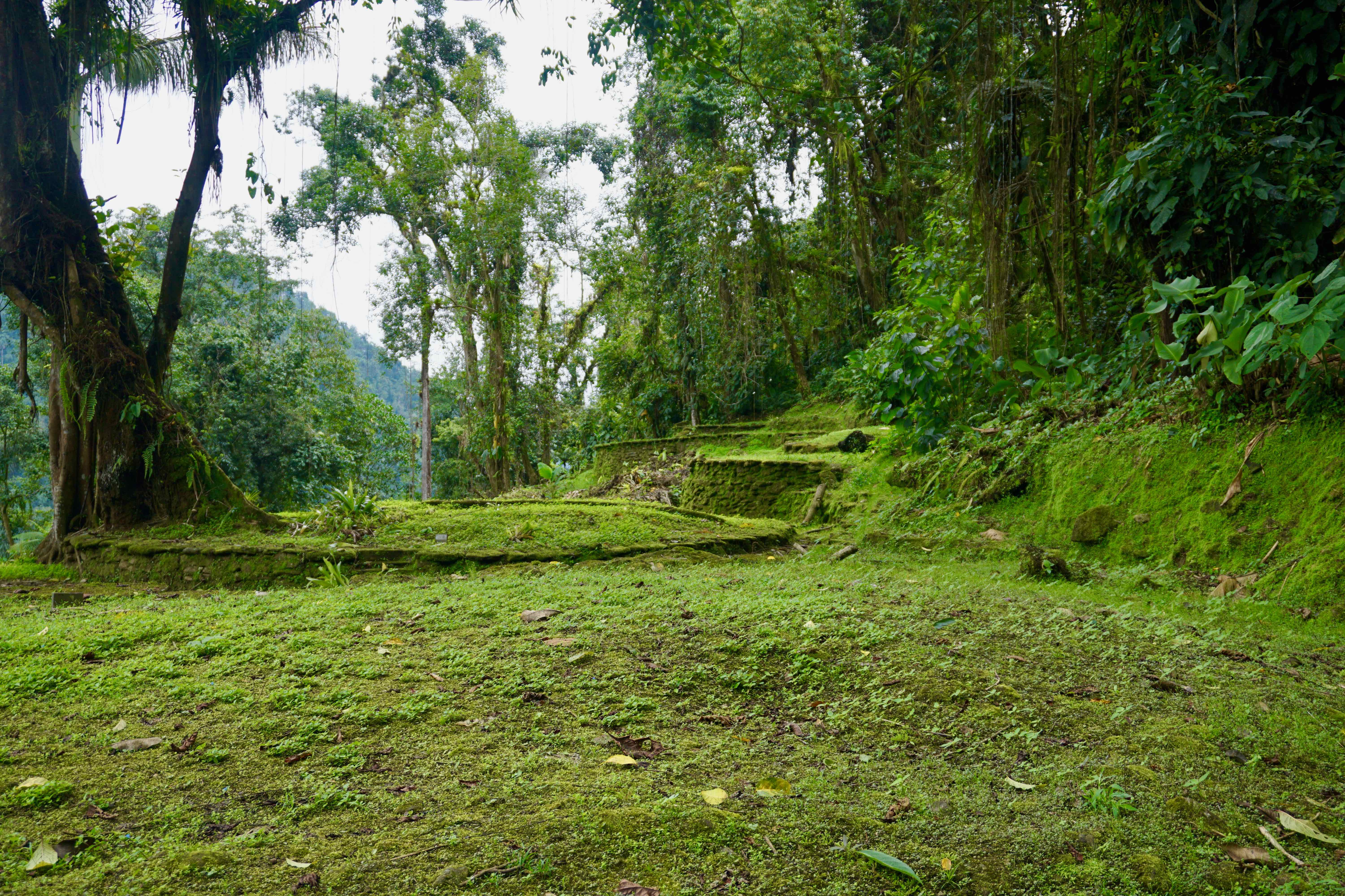 perdido caminata ciudad