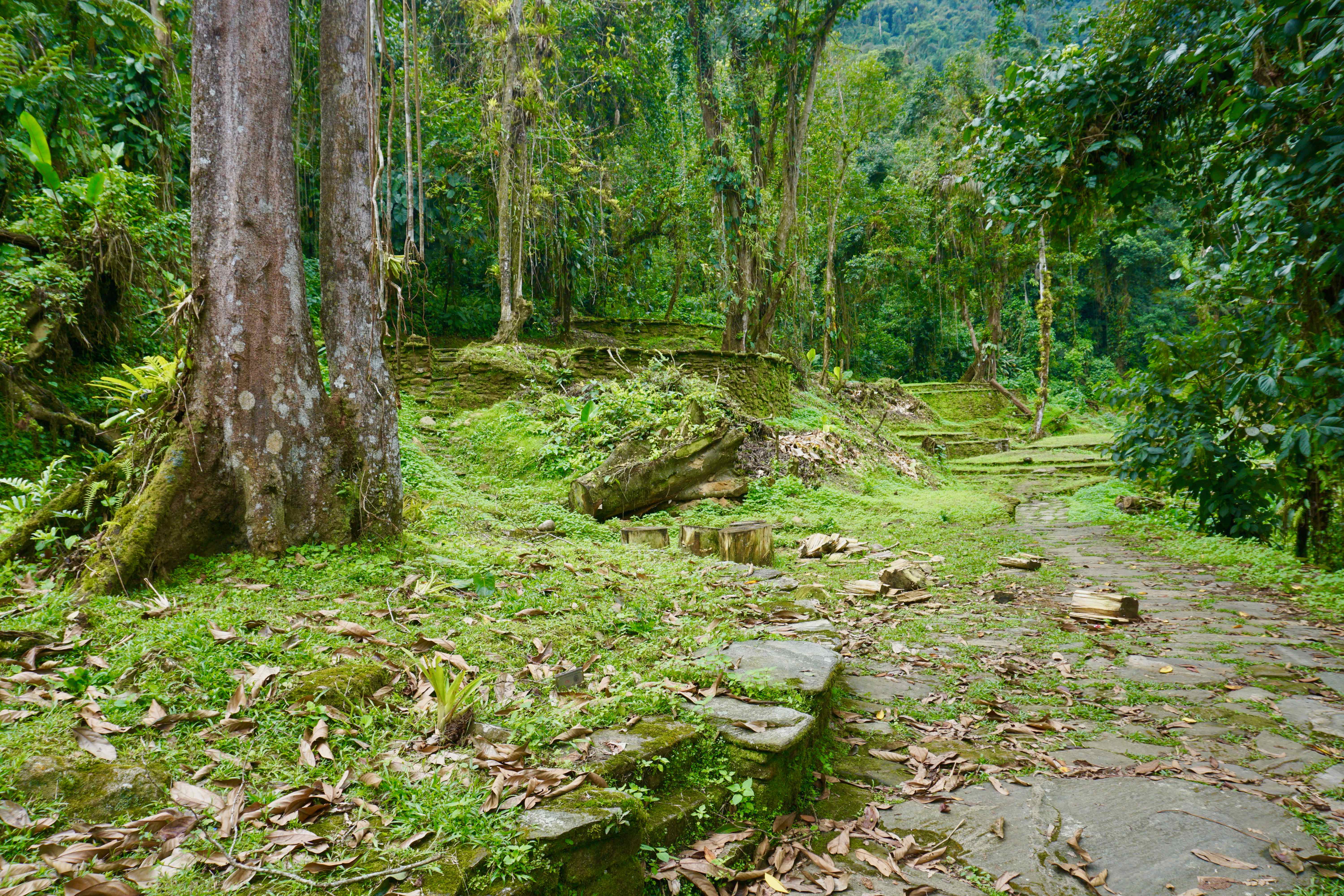 perdeu caminhada cidade