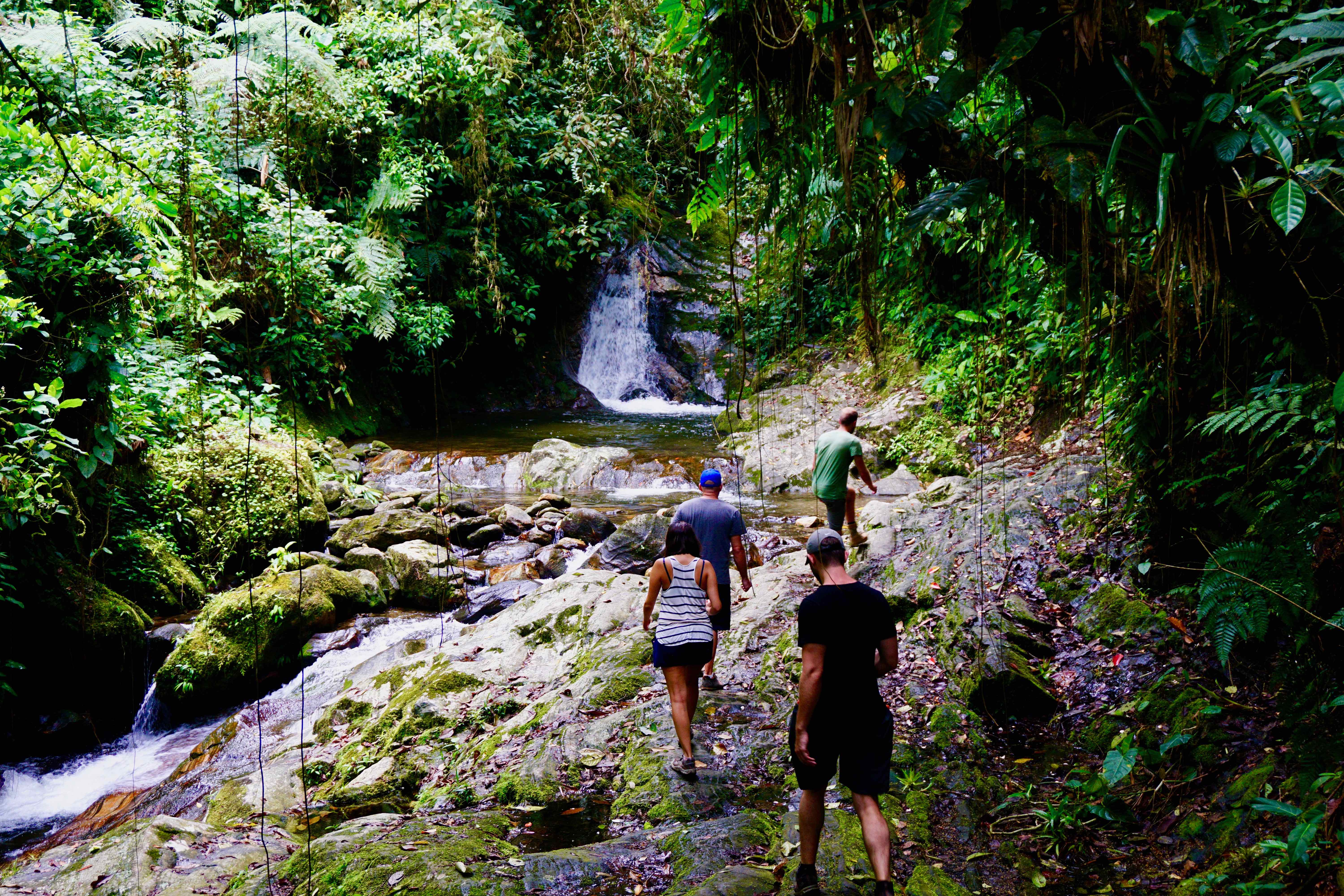 lost city trek