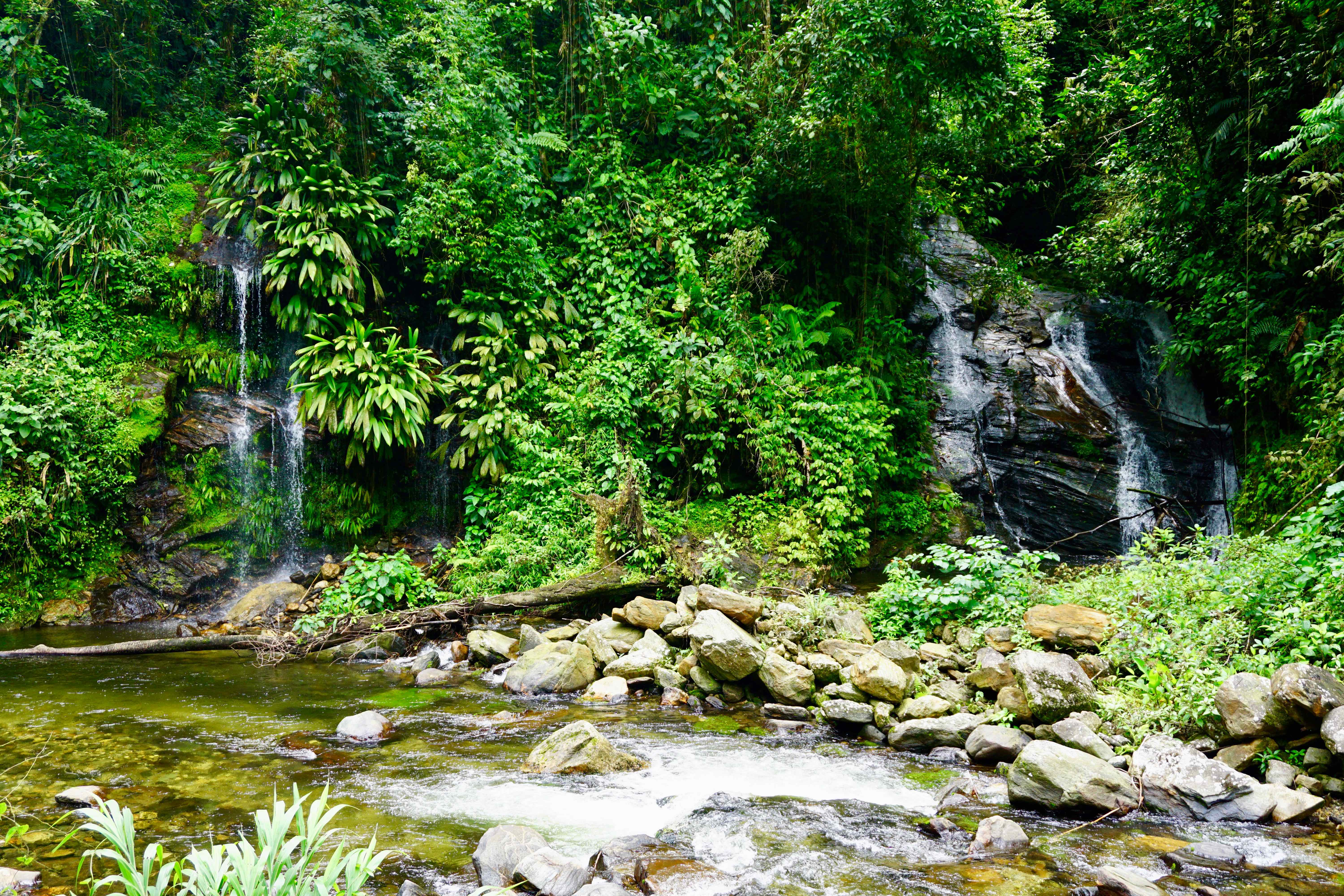 lost city trek